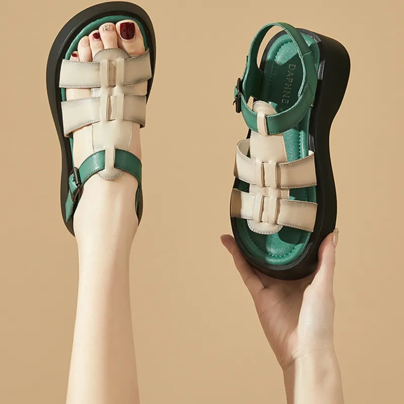 DAPHNE Stylish Sandal 5.2cm Women's-10