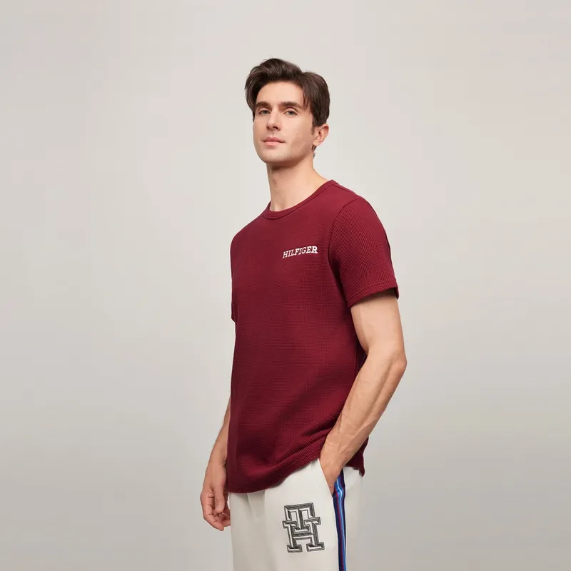 Tommy Hilfiger T Shirts Men-2