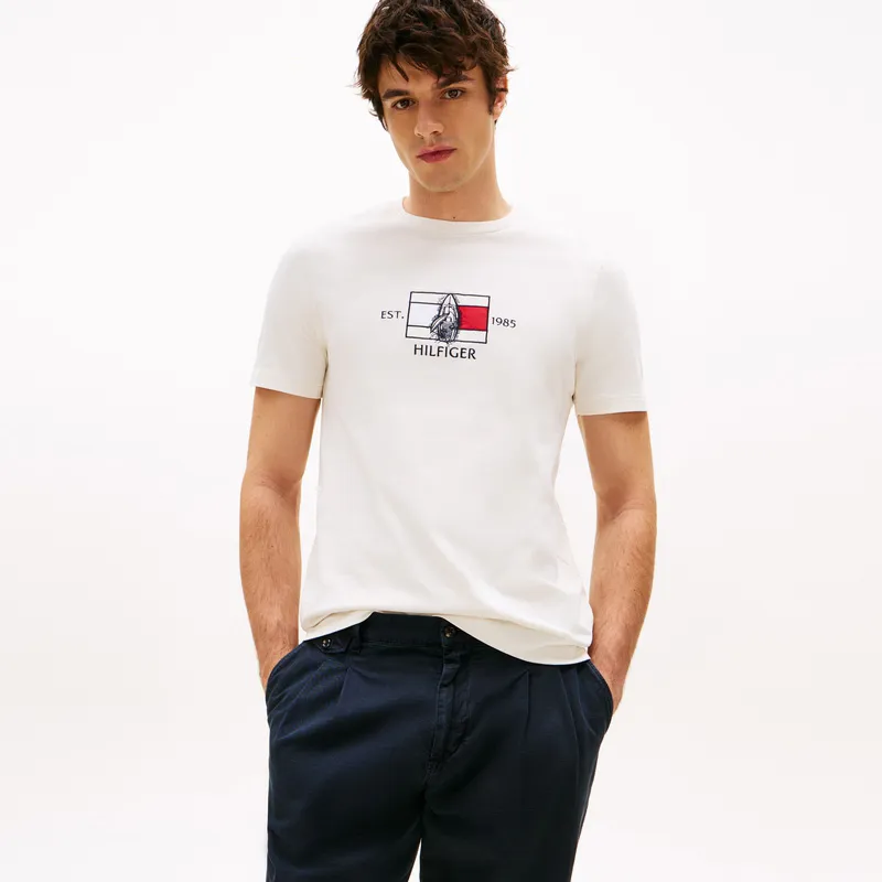 Tommy Hilfiger T Shirts Men-2