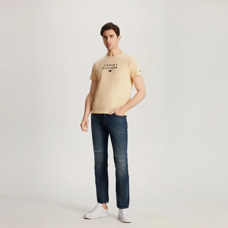 Tommy Hilfiger T Shirts Men-15