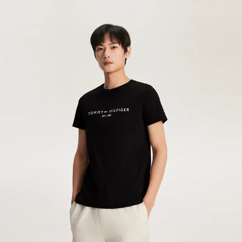 Tommy Hilfiger T Shirts Men-22