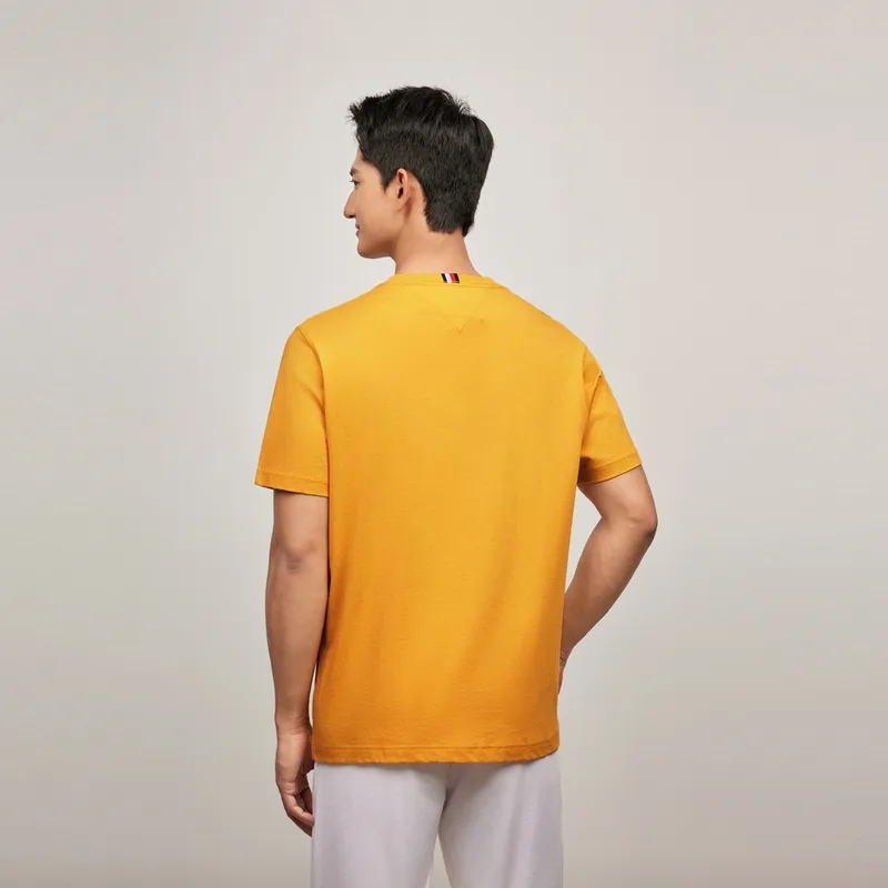 Tommy Hilfiger T Shirts Men-8