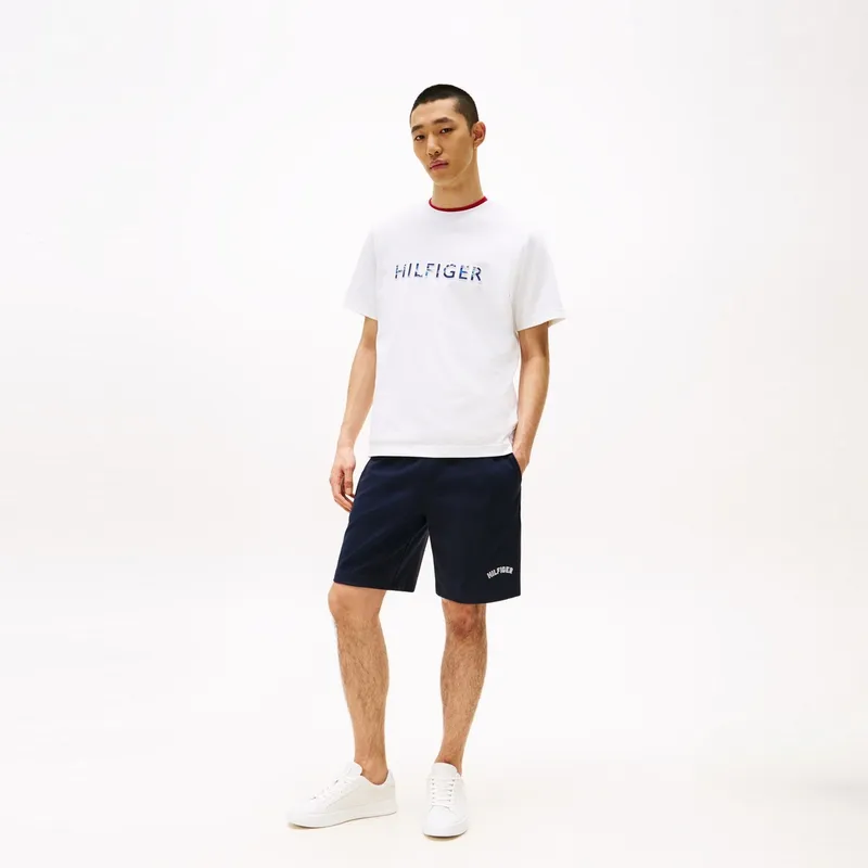 Tommy Hilfiger T-Shirts Men-9