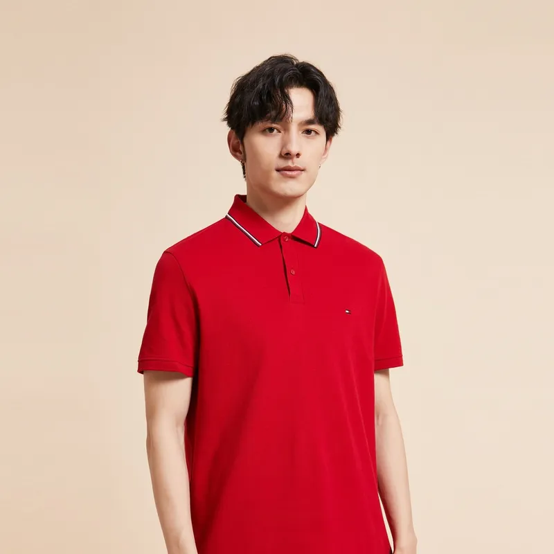Tommy Hilfiger Polo Shirts Men-5