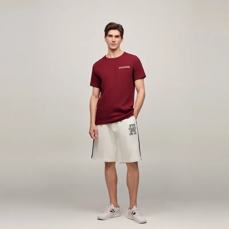 Tommy Hilfiger T Shirts Men-4