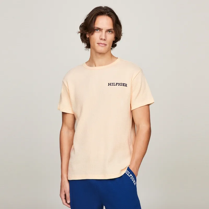 Tommy Hilfiger T Shirts Men-7