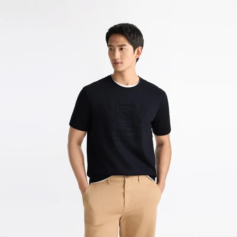 Tommy Hilfiger T Shirts Men-2