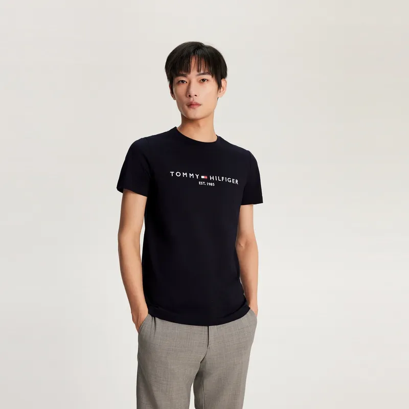 Tommy Hilfiger T Shirts Men-27