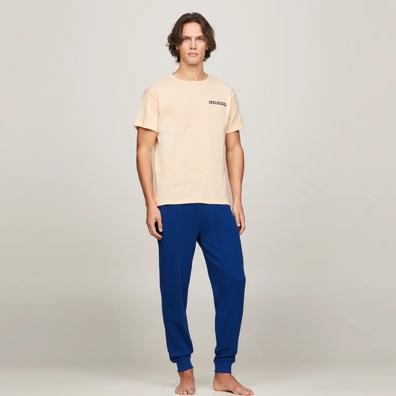 Tommy Hilfiger T Shirts Men-9