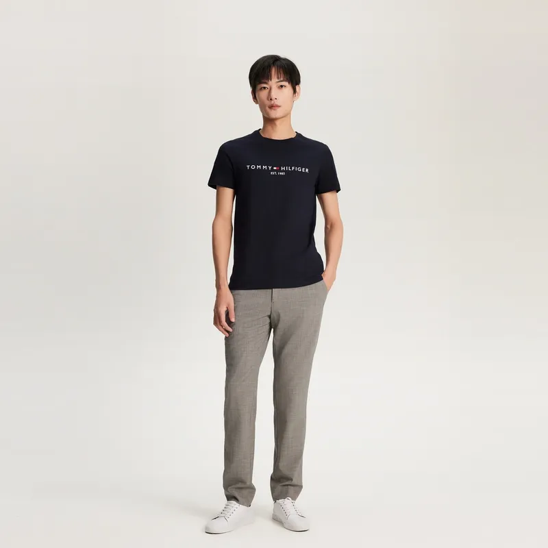 Tommy Hilfiger T Shirts Men-29