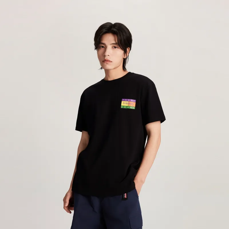 Tommy Hilfiger T Shirts Men-2