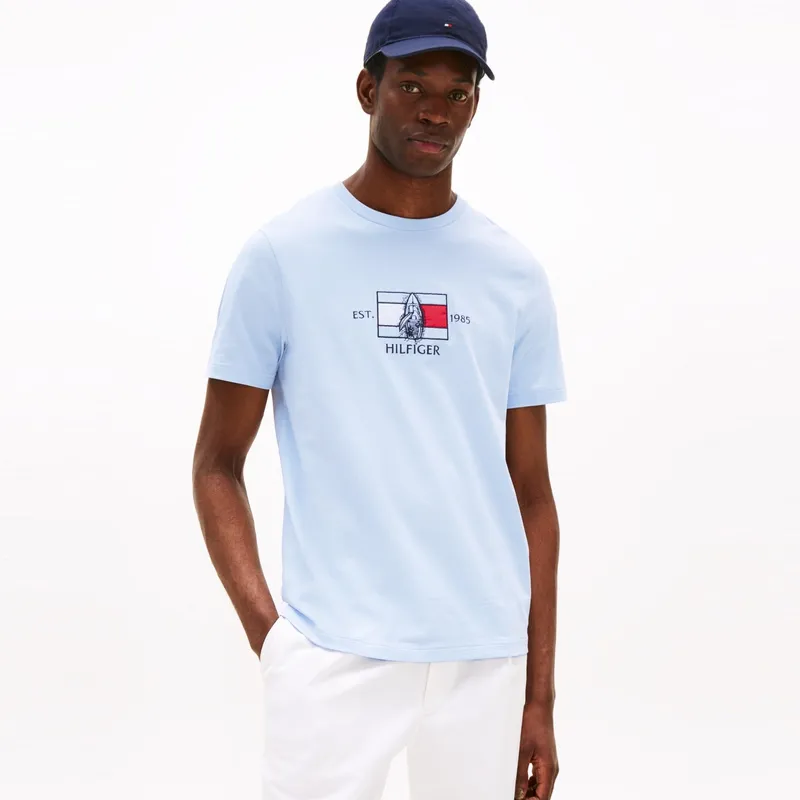 Tommy Hilfiger T Shirts Men-13