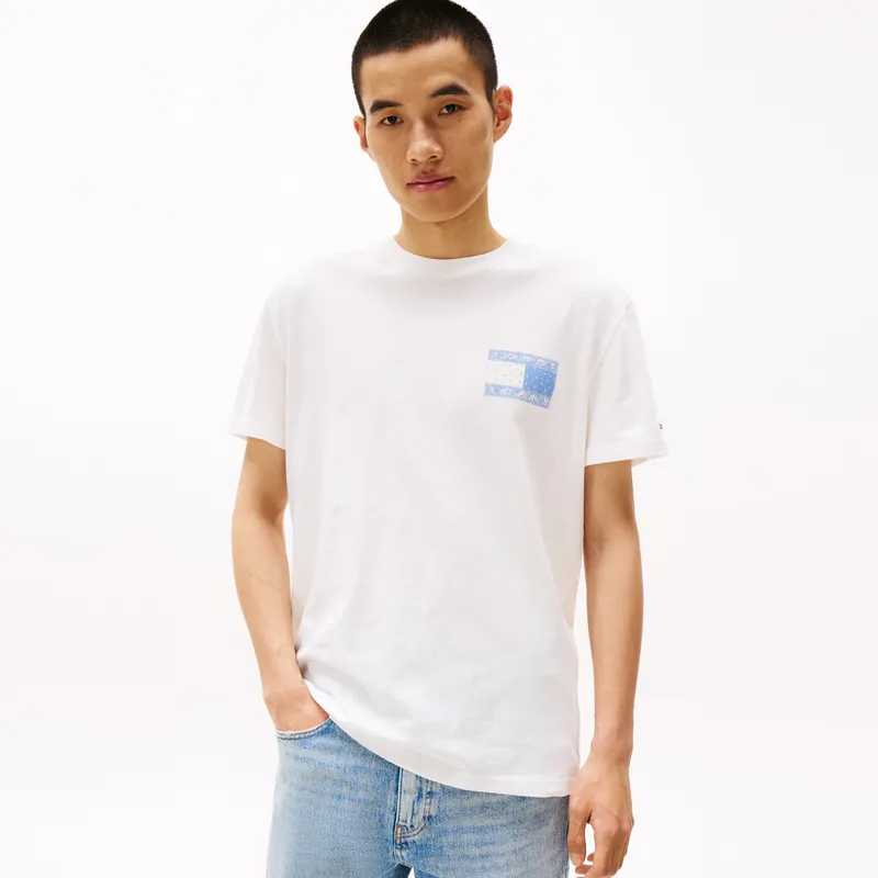 Tommy Hilfiger T Shirts Men-2