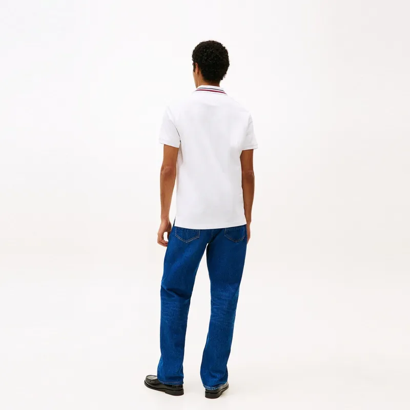 Tommy Hilfiger Logo embroidered Polo Shirt-12