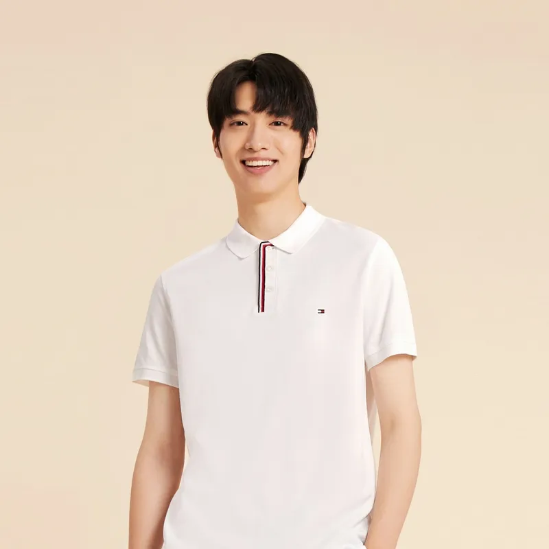 Tommy Hilfiger Polo Shirt Men's-34
