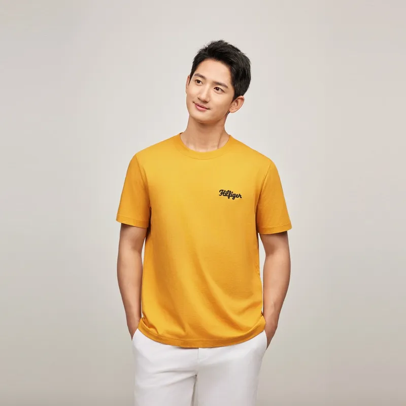 Tommy Hilfiger T Shirts Men-7
