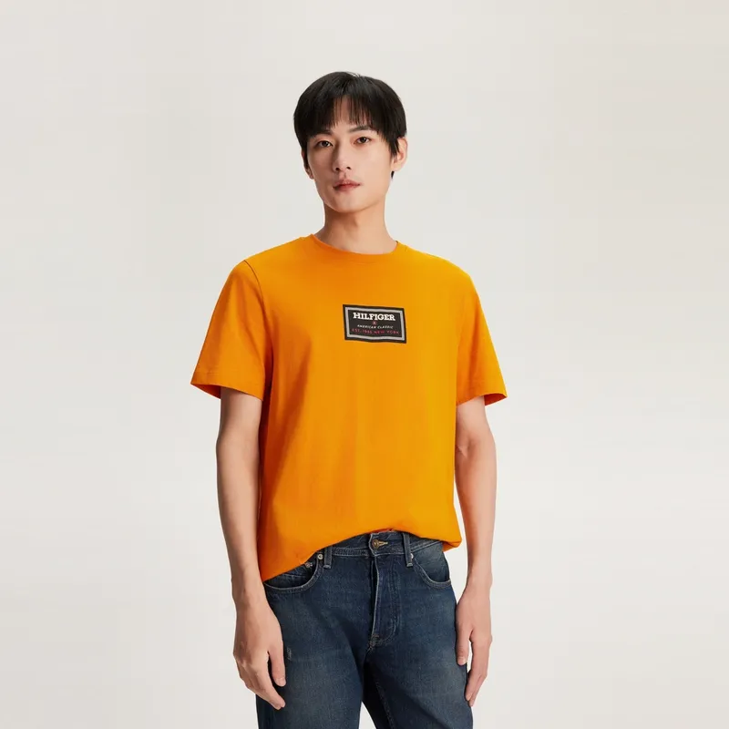 Tommy Hilfiger T Shirts Men-2