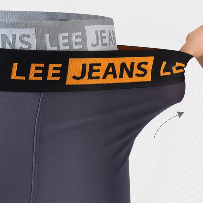 Lee Underpants Men's Box 5 Pack-23