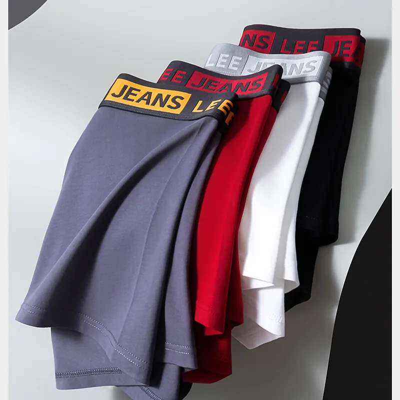 Lee Underpants Men's Box 5 Pack-21