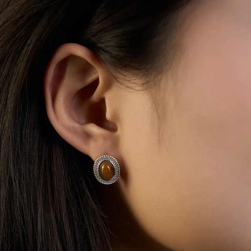 YPYN S925 Silver Stud Earrings Women's Brown-2