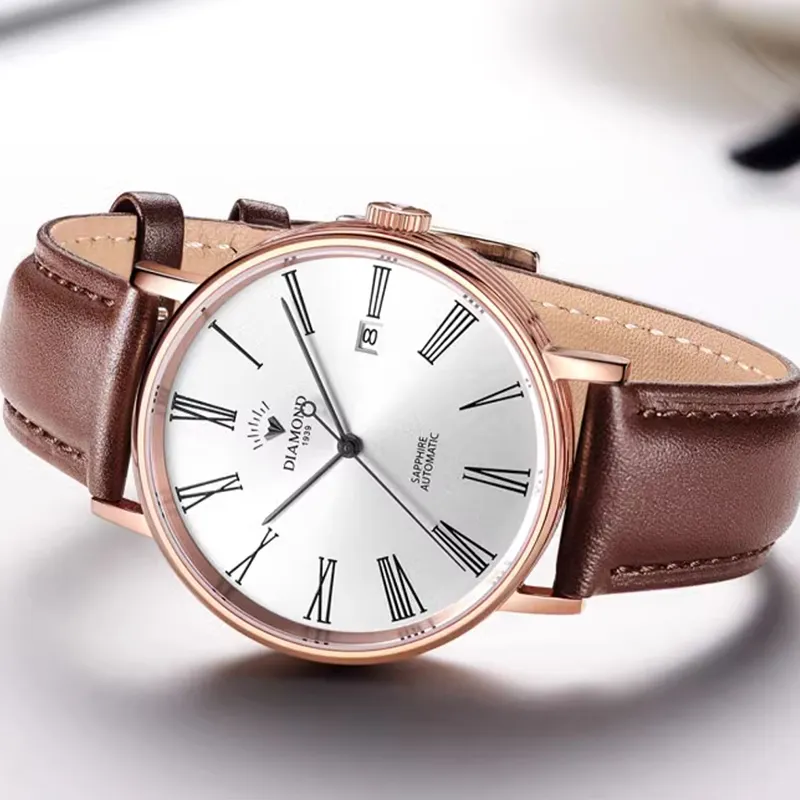 Diamond Automatic Mechanical Movement Watch Men's Watches Silver Dial-2