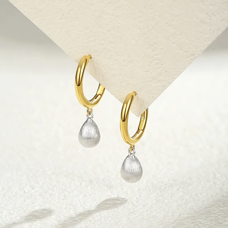 Ascending S925 Silver Earrings Women's-1