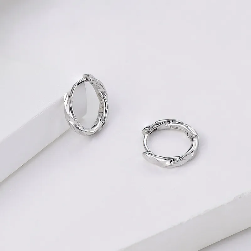 Ascending S925 Silver Earrings Unisex-1