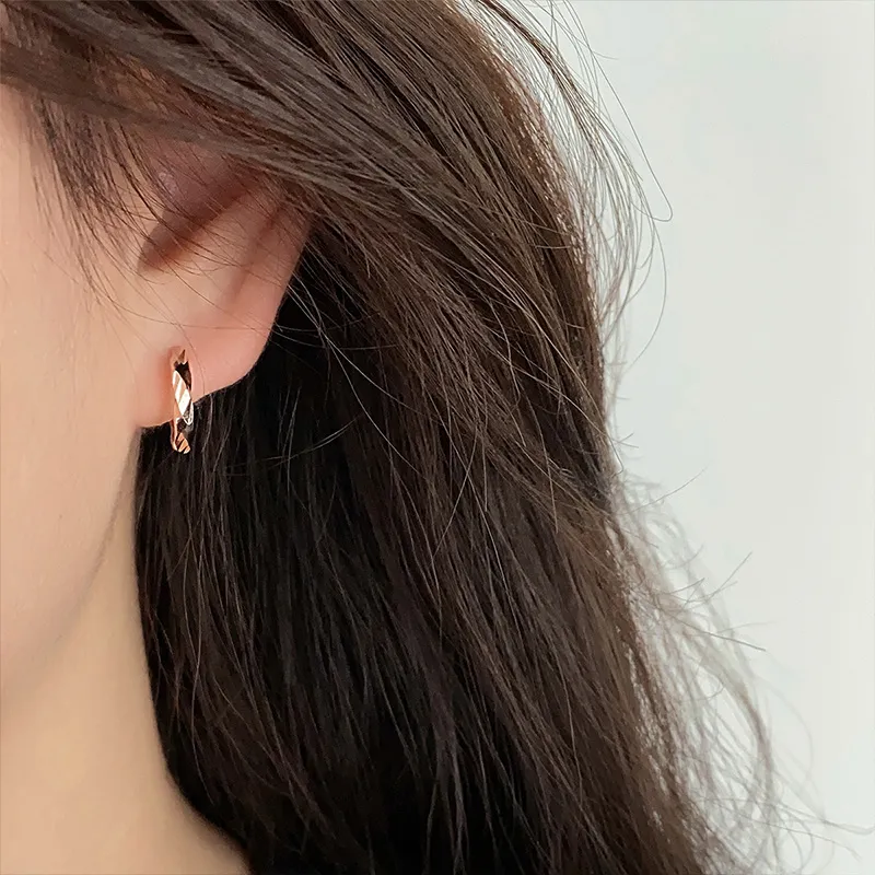 Ascending S925 Silver Earrings Unisex-8