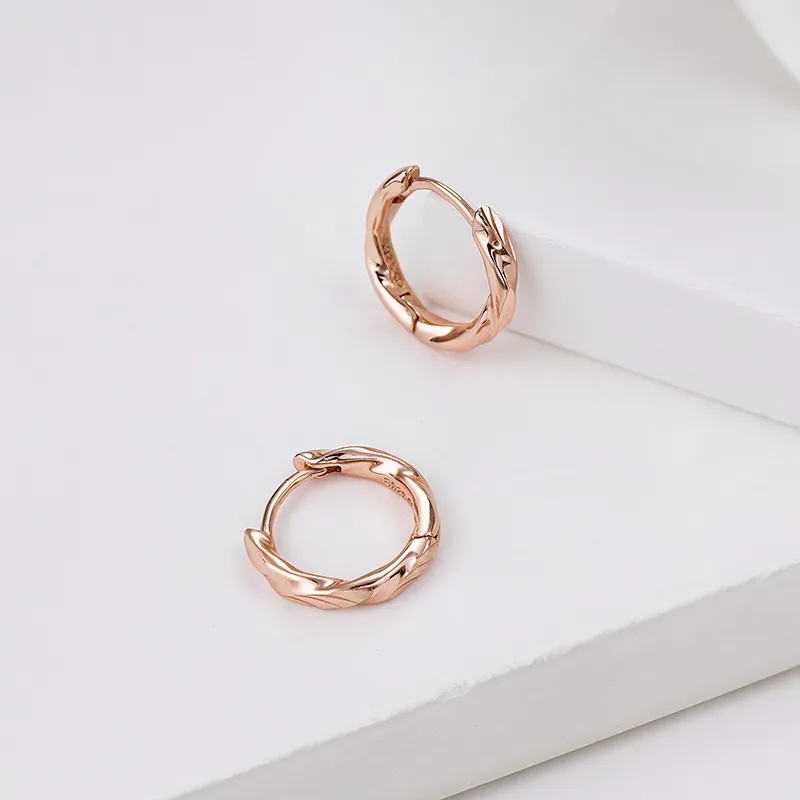 Ascending S925 Silver Earrings Unisex-6
