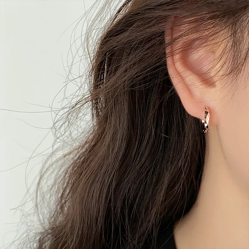 Ascending S925 Silver Earrings Unisex-7