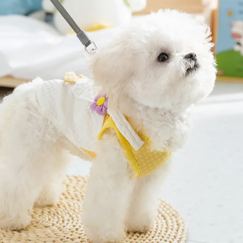 Genius Dawn Moon Pet Clothing-1