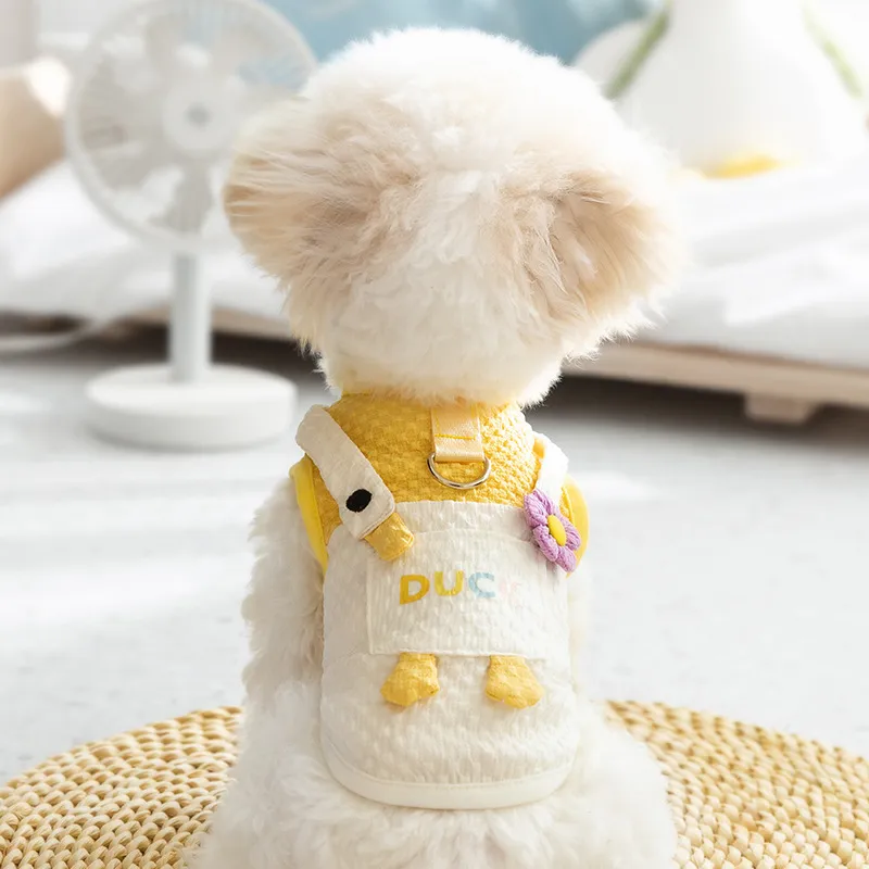 Genius Dawn Moon Pet Clothing-2