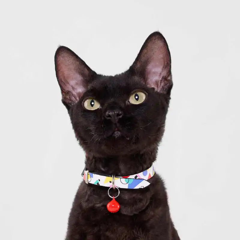 UFBemo Dog & Cat Collars, Memphis Collection PU Print Kitten Collar-1