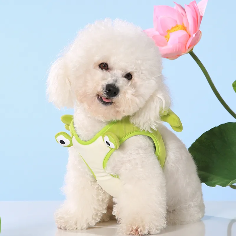 UFBemo Leashes, Summer Solstice Frog Chest And Back Charm-1
