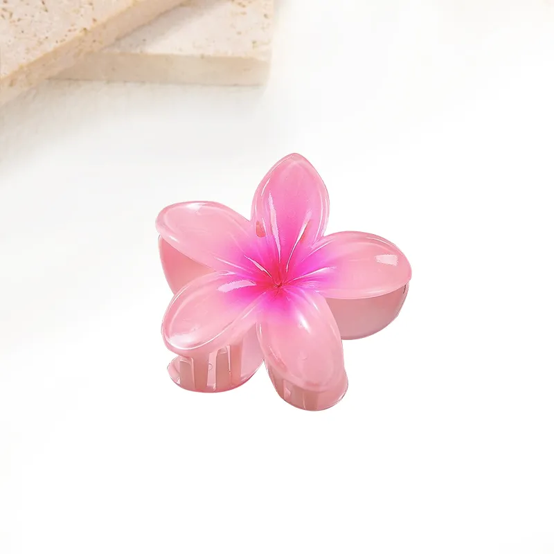 MIDNIGHT MOMENT Resin Hair Clips Women's-10