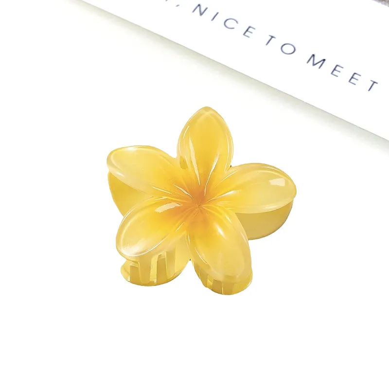 MIDNIGHT MOMENT Resin Hair Clips Women's-14