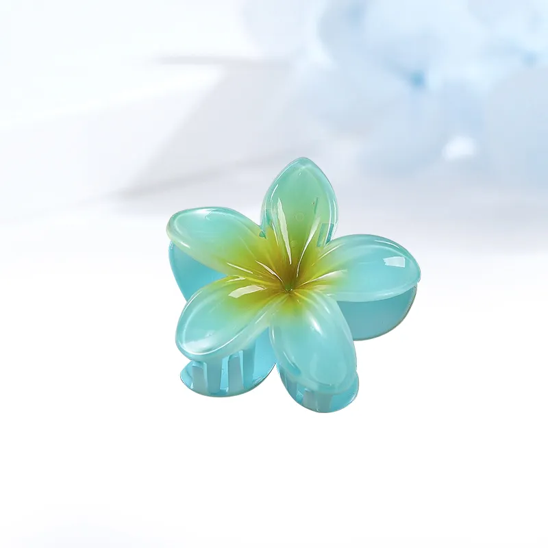MIDNIGHT MOMENT Resin Hair Clips Women's-7