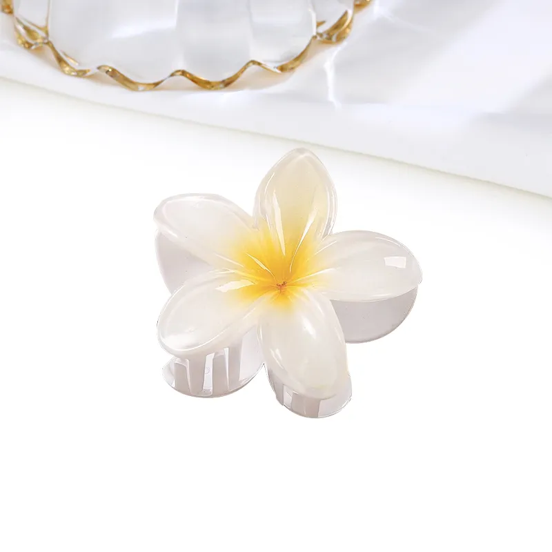 MIDNIGHT MOMENT Resin Hair Clips Women's-2