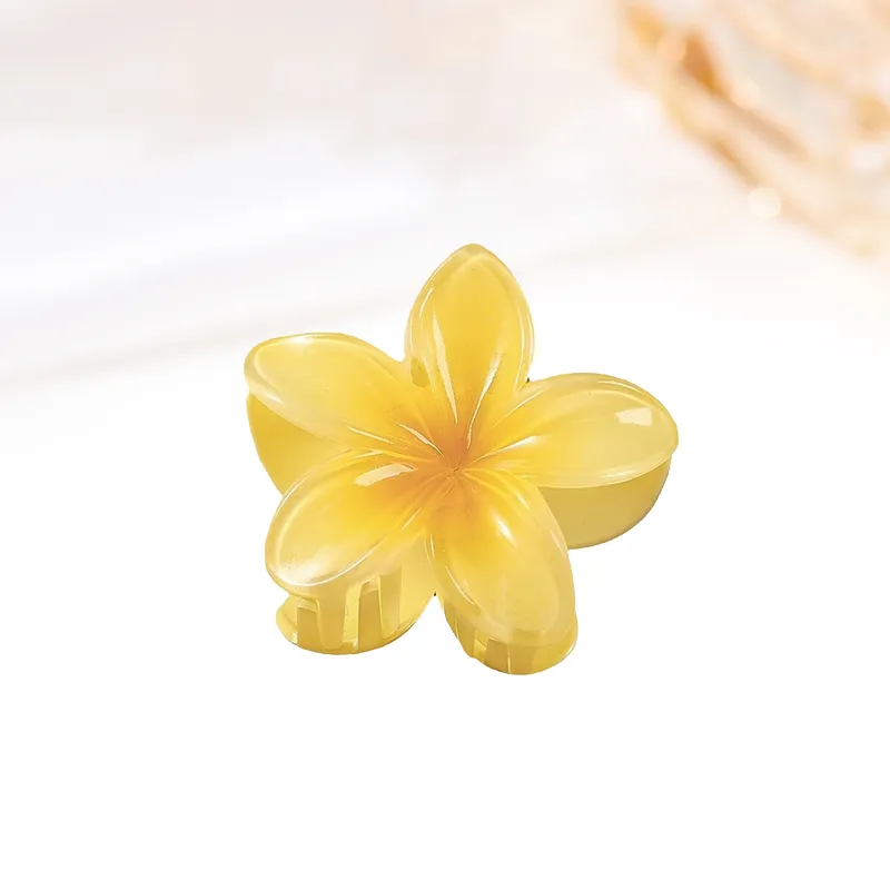 MIDNIGHT MOMENT Resin Hair Clips Women's-13