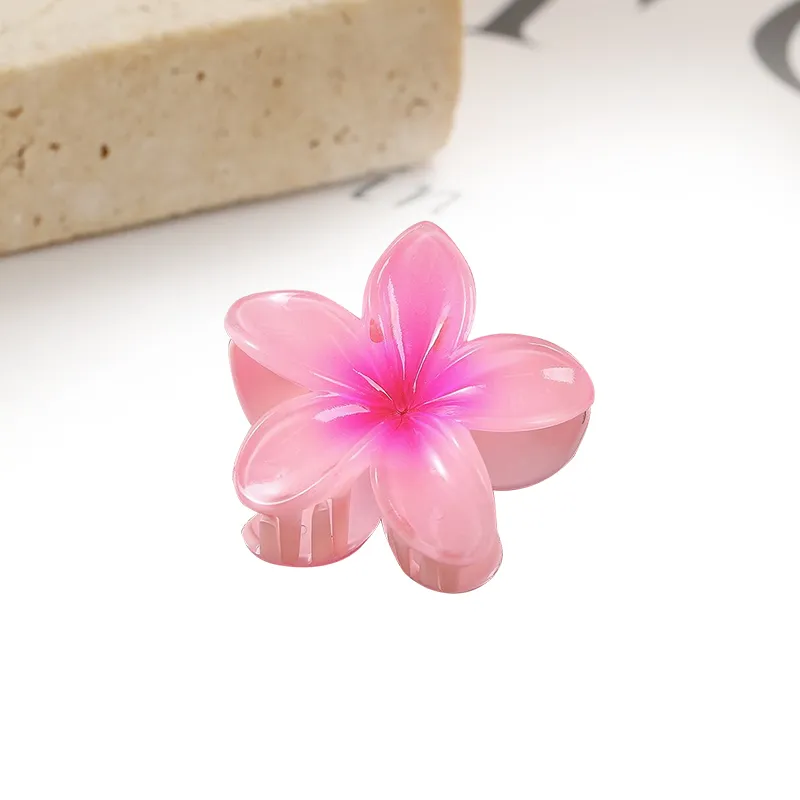 MIDNIGHT MOMENT Resin Hair Clips Women's-11