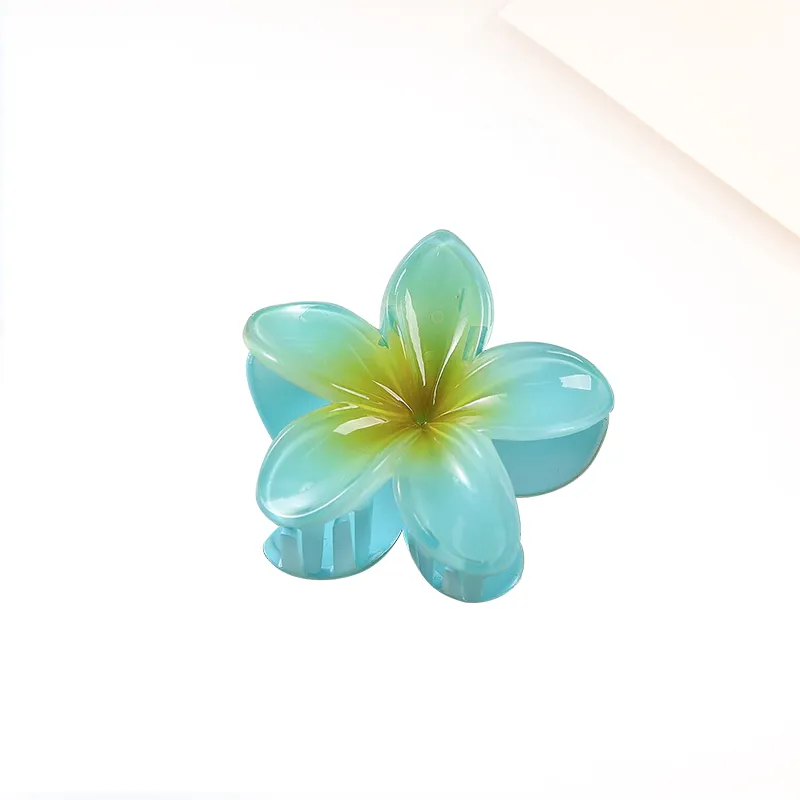 MIDNIGHT MOMENT Resin Hair Clips Women's-8