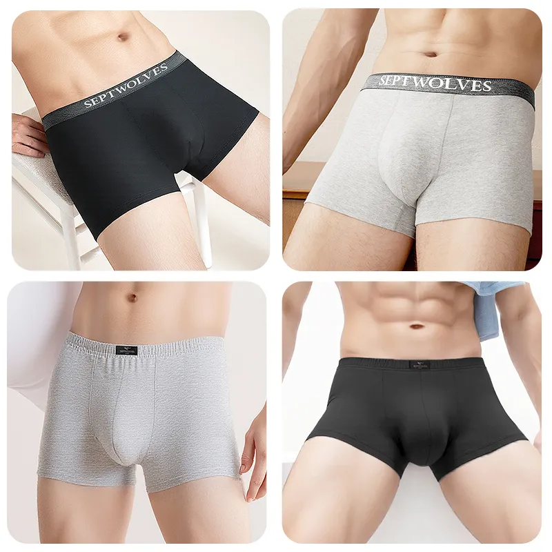 SEPTWOLVES Underpants Men's Box 3 Pack-9