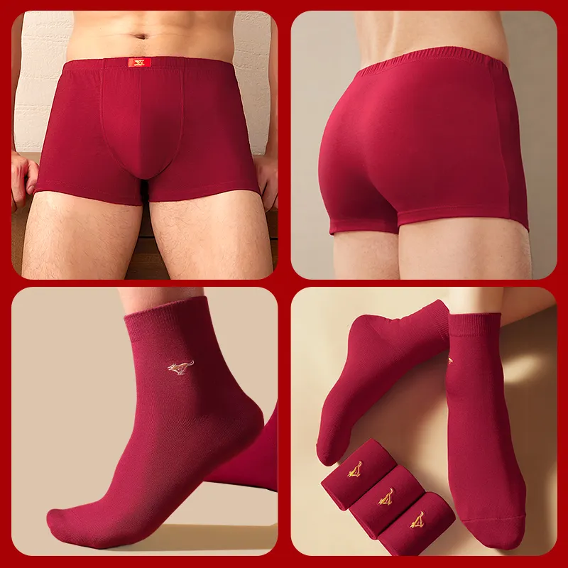 SEPTWOLVES Thermal Set Men's Burgundy-11
