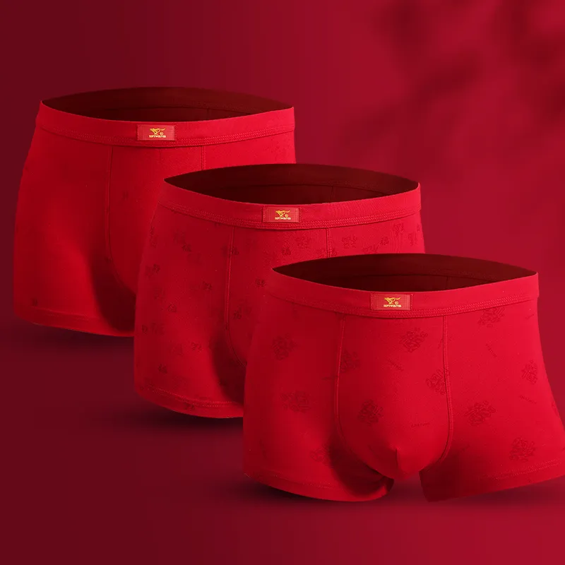 SEPTWOLVES Underwear Gift Box Men's Box 3 Pack-3