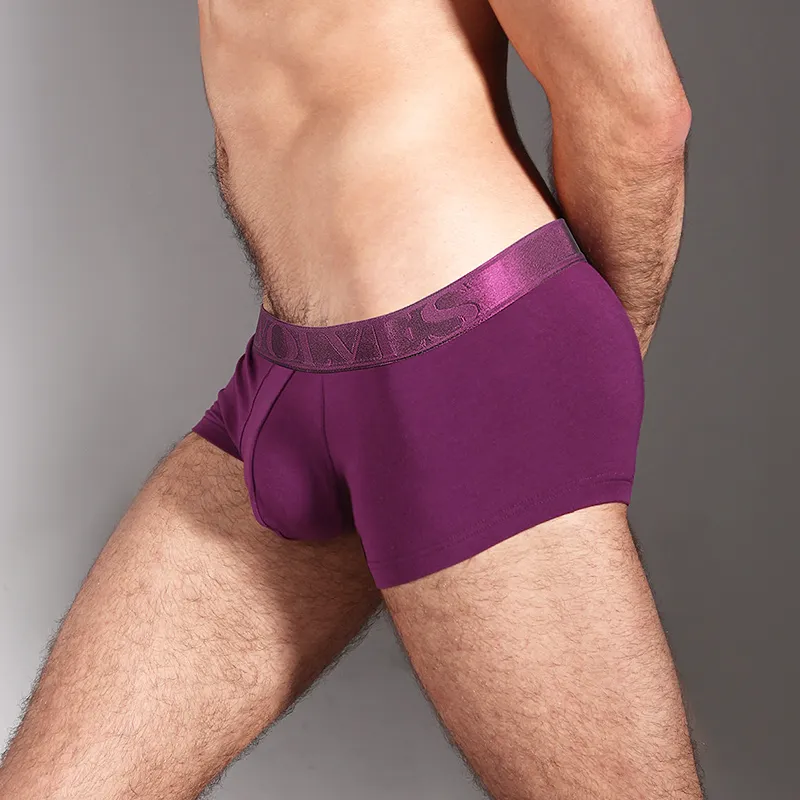 SEPTWOLVES Underpants Men's 3-Piece Gift Box Set-43