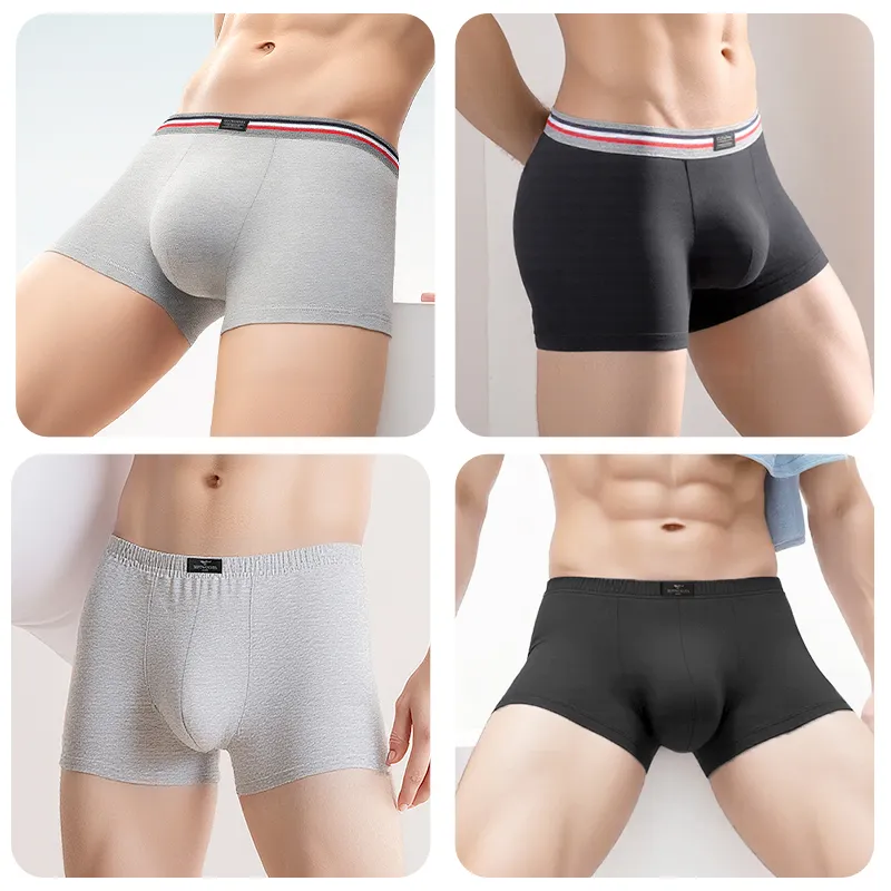 SEPTWOLVES Underwear Gift Box Men's-5