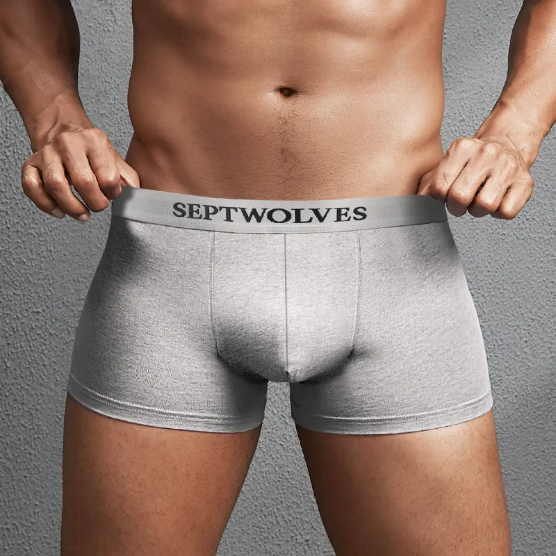 SEPTWOLVES Underwear Gift Box Men's 4 Pack-1