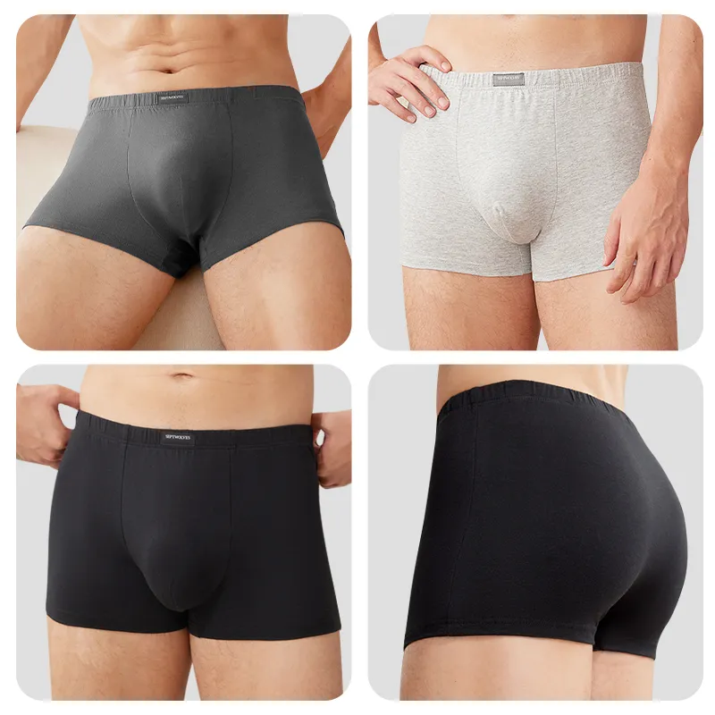 SEPTWOLVES Underwear Gift Boxes Men's 6 Pack-2