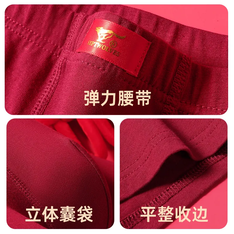 SEPTWOLVES Thermal Set Men's Burgundy-7