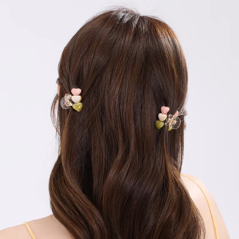 DODOGOGO PC Resin Hair Clips Women's-1